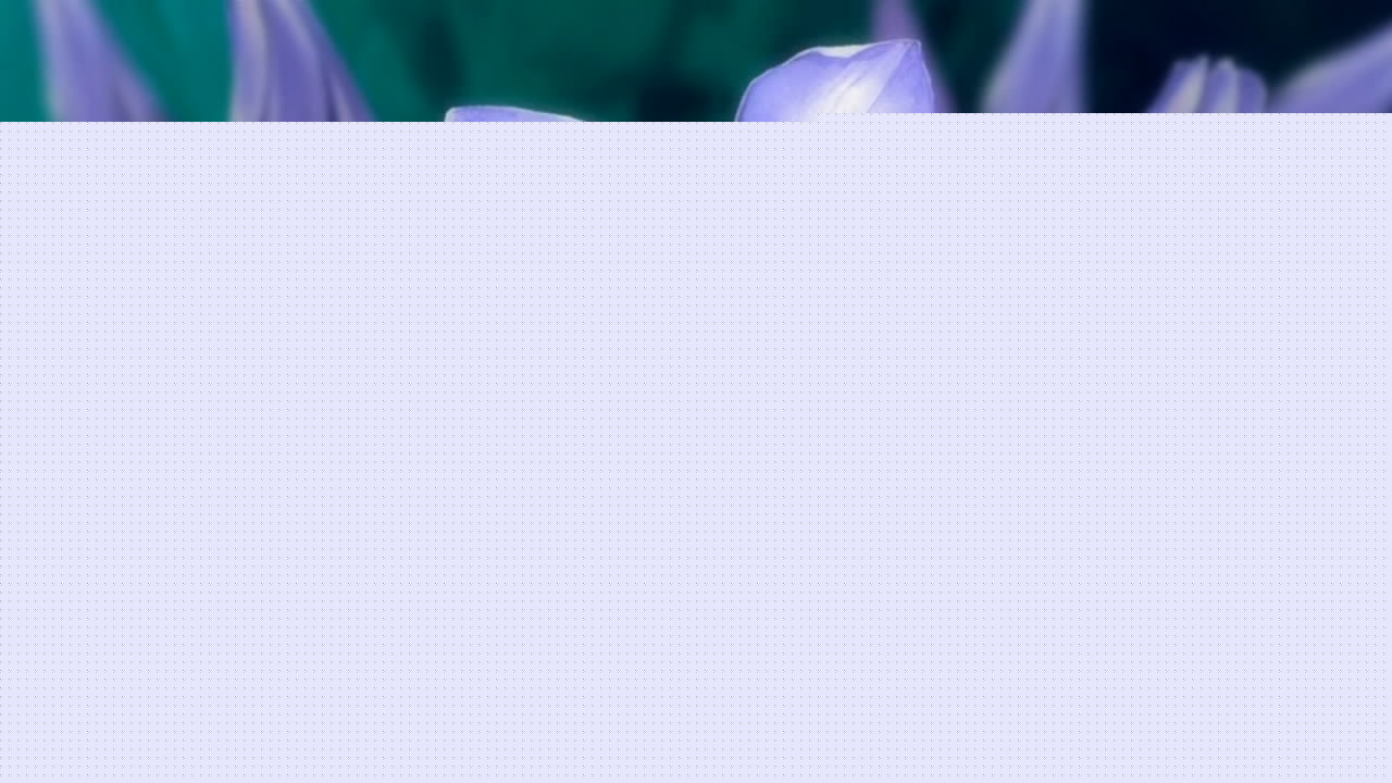 Кадры из Бармен (2006)