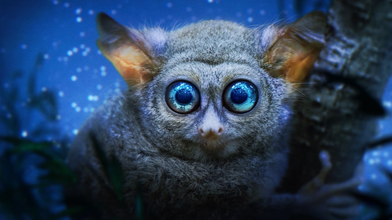 Земля ночью в цвете (2020)