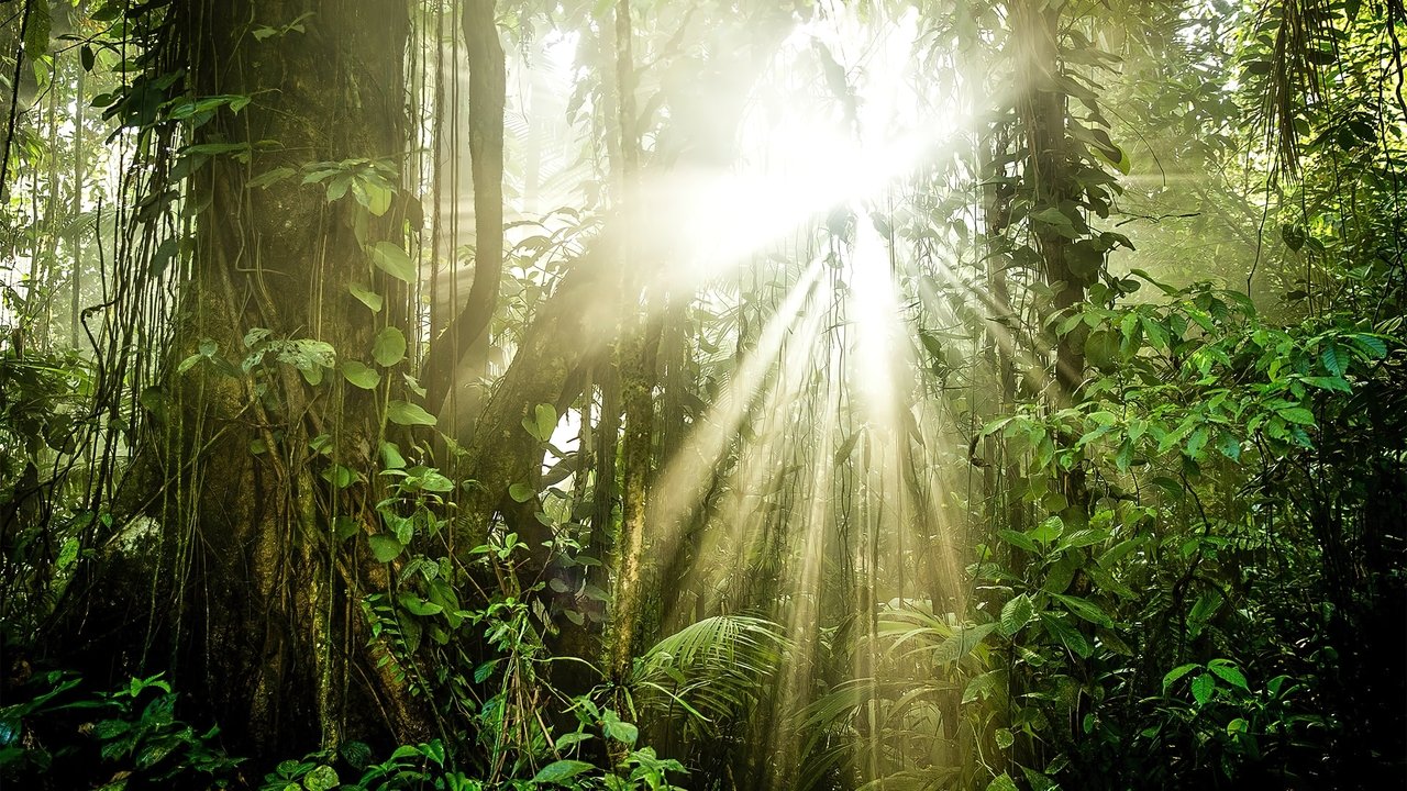 Зелёная планета (2022)