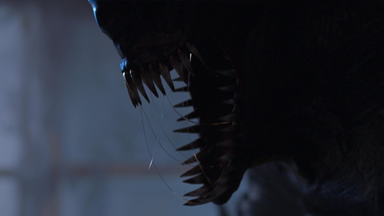 Кадры из Стереоскоп (2020)