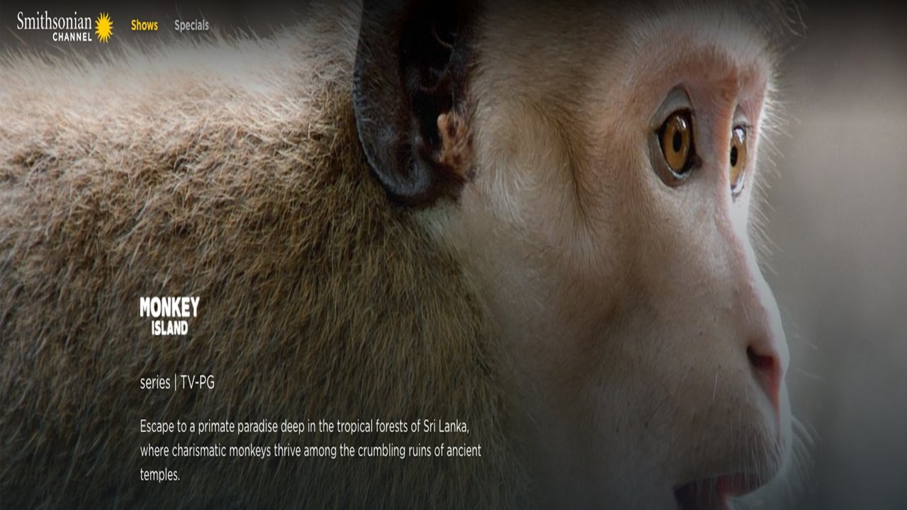 Кадры из Остров обезьян (2018)