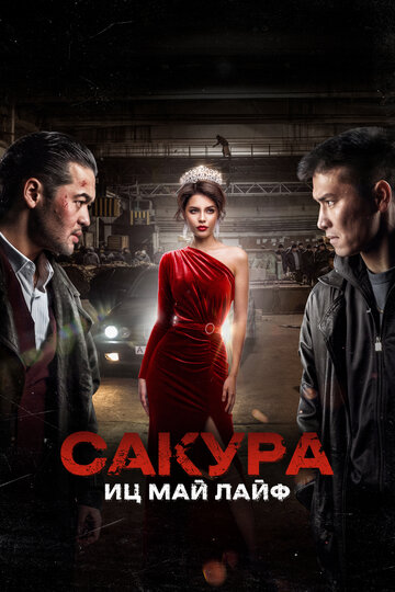 Смотреть Сакура. Иц май лайф онлайн в HD качестве 720p
