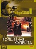Смотреть Волшебная флейта онлайн в HD качестве 720p
