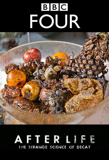 Смотреть После смерти: Загадочная наука разложения на HDrezka онлайн в HD качестве 720p