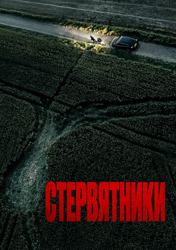 Смотреть Стервятники на HDrezka онлайн в HD качестве 720p