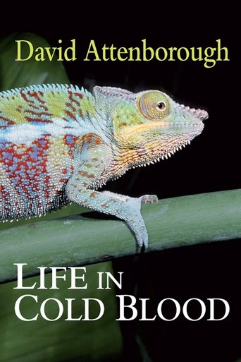 BBC: Жизнь с холодной кровью (2008)